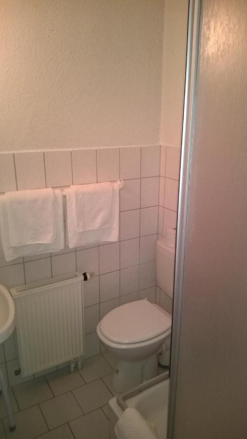Pension Altstadt בורנה מראה חיצוני תמונה